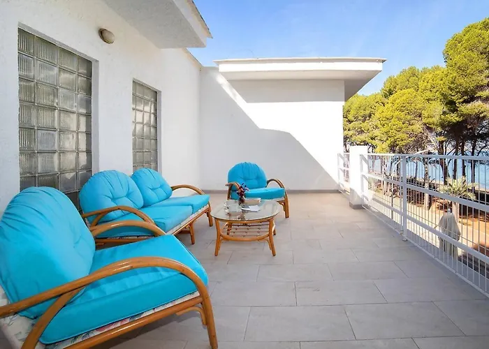 Les Rotes * دينايا